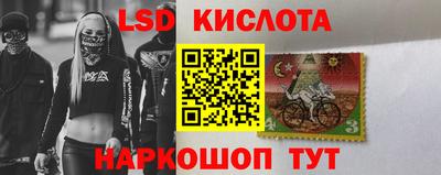 стаф Кимры