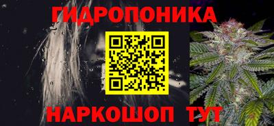 стаф Кимры