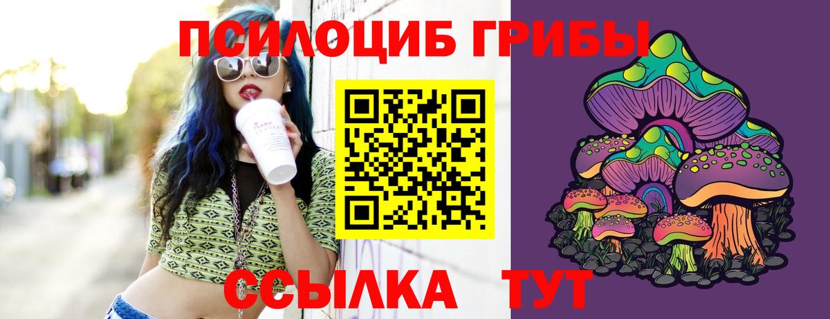 Кемерово  Галлюциногенные грибы Psilocybe  Вход с VPN 